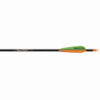 Powerflight Hunting Arrows