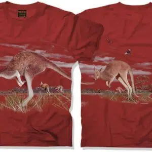 Kangaroo