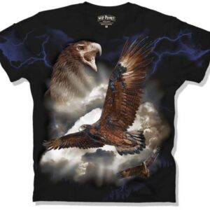 Wedge Tailed Eagle Black