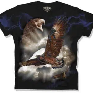 Wedge Tailed Eagle Black